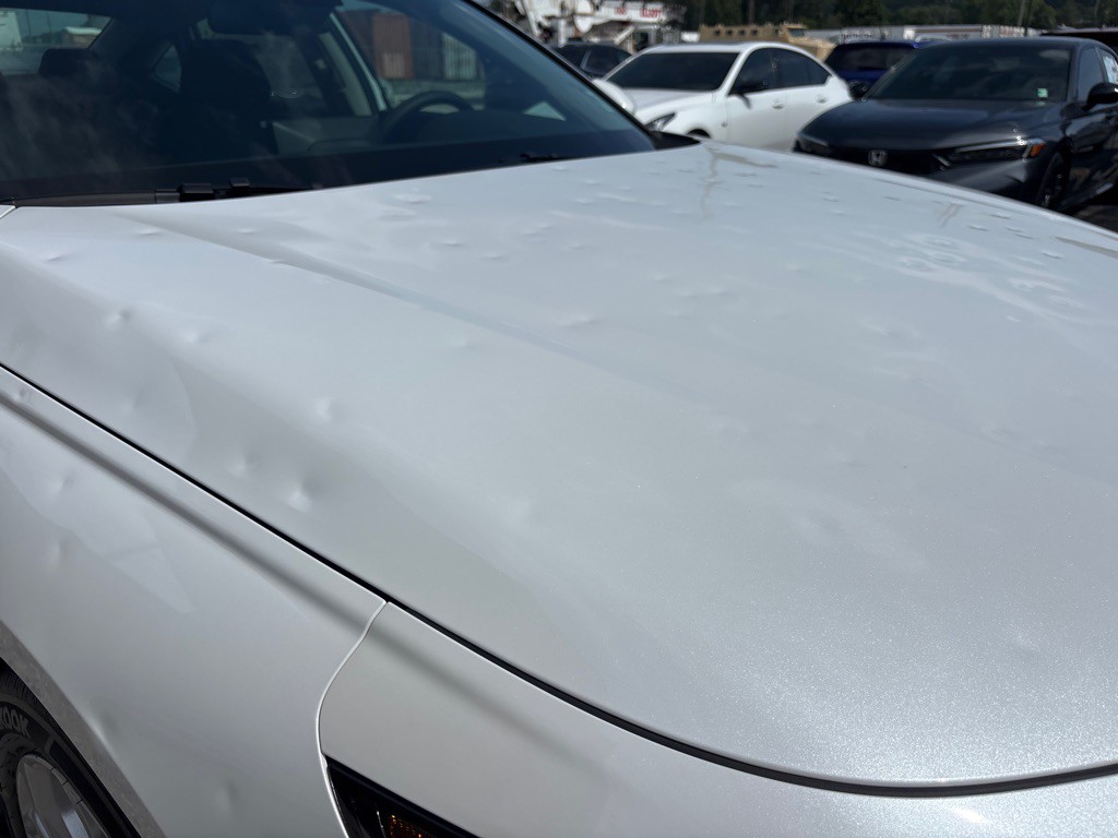 2026 Honda Accord Image 6