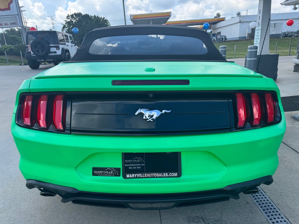 2020 Ford Mustang Image 4