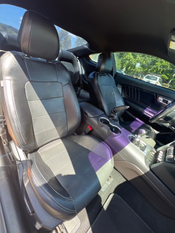 2019 Ford Mustang Image 15