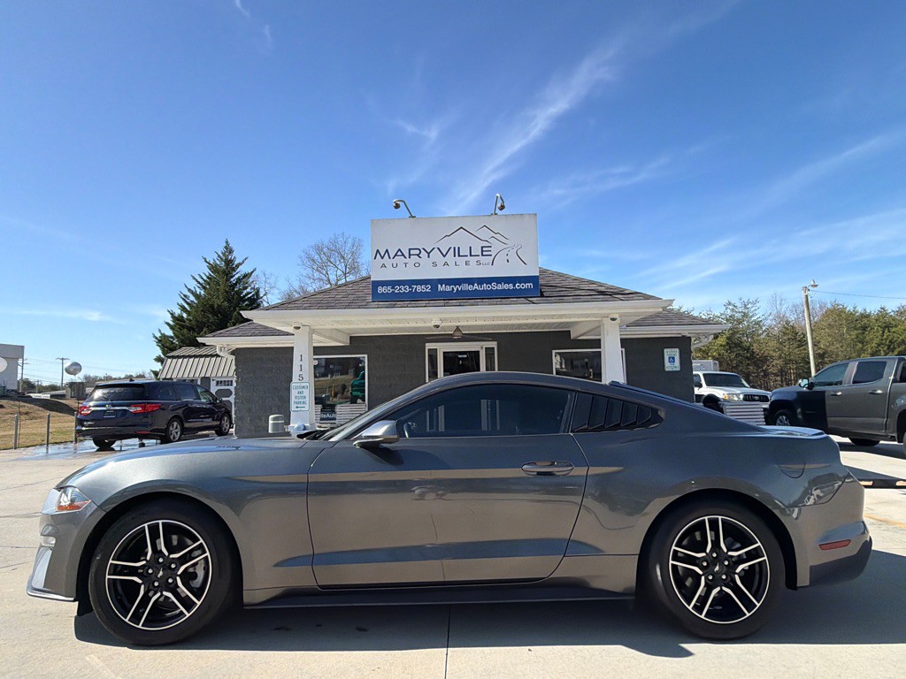 2019 Ford Mustang Image 2