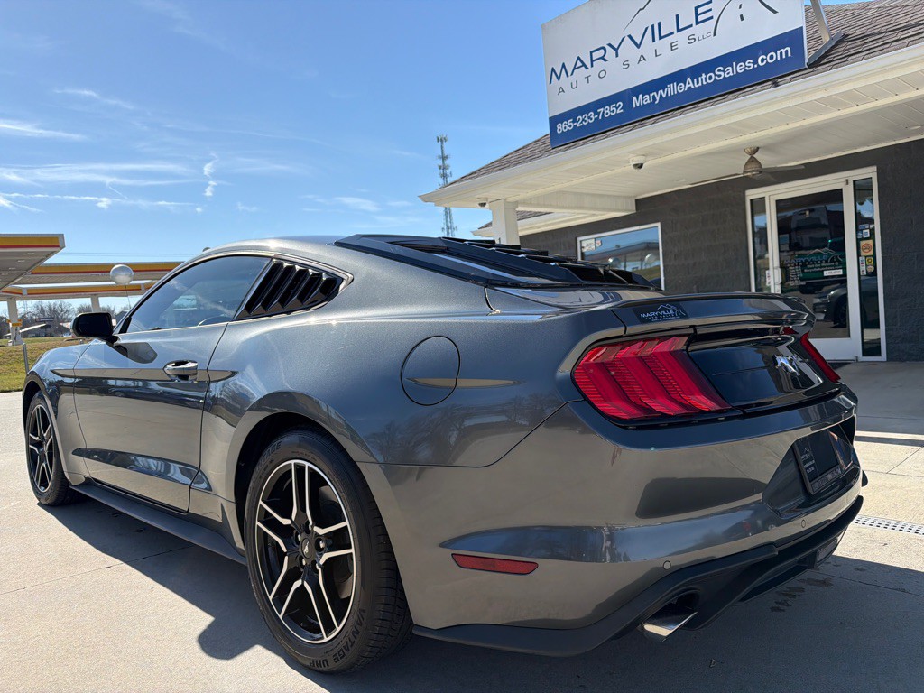 2019 Ford Mustang Image 3