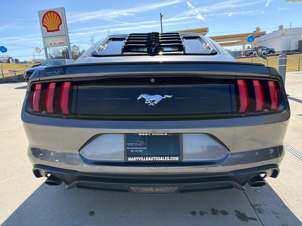 2019 Ford Mustang Image 4