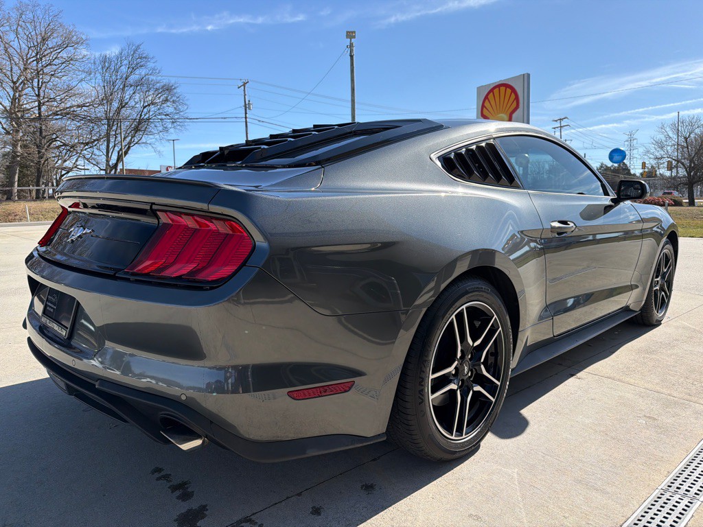 2019 Ford Mustang Image 5