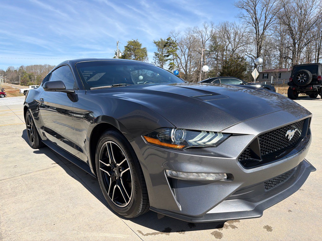 2019 Ford Mustang Image 7