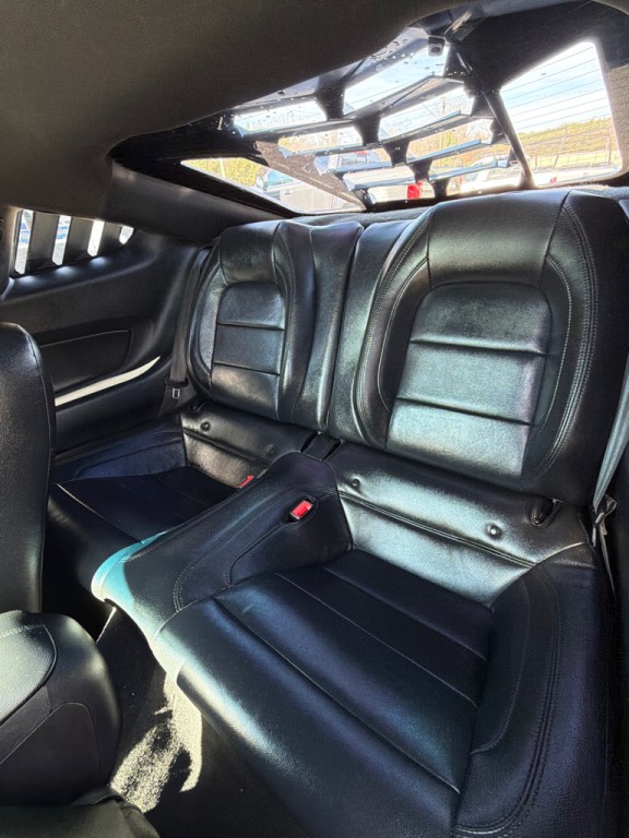 2019 Ford Mustang Image 13