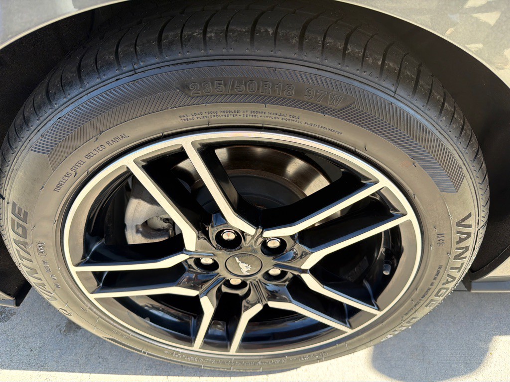 2019 Ford Mustang Image 18