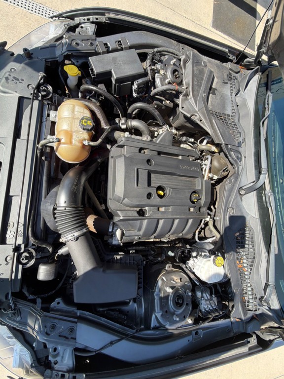 2019 Ford Mustang Image 19