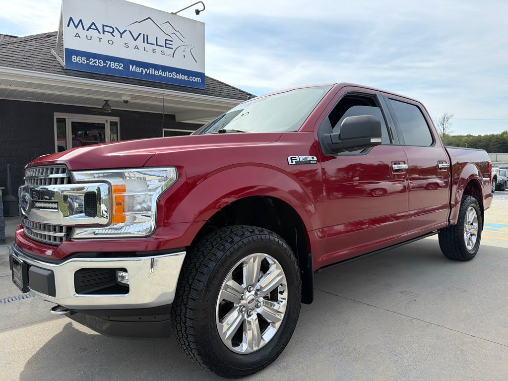 2019 Ford F-150 Image 1