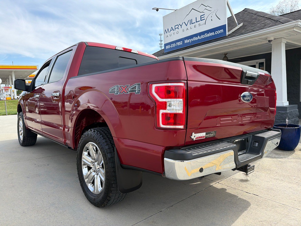 2019 Ford F-150 Image 3
