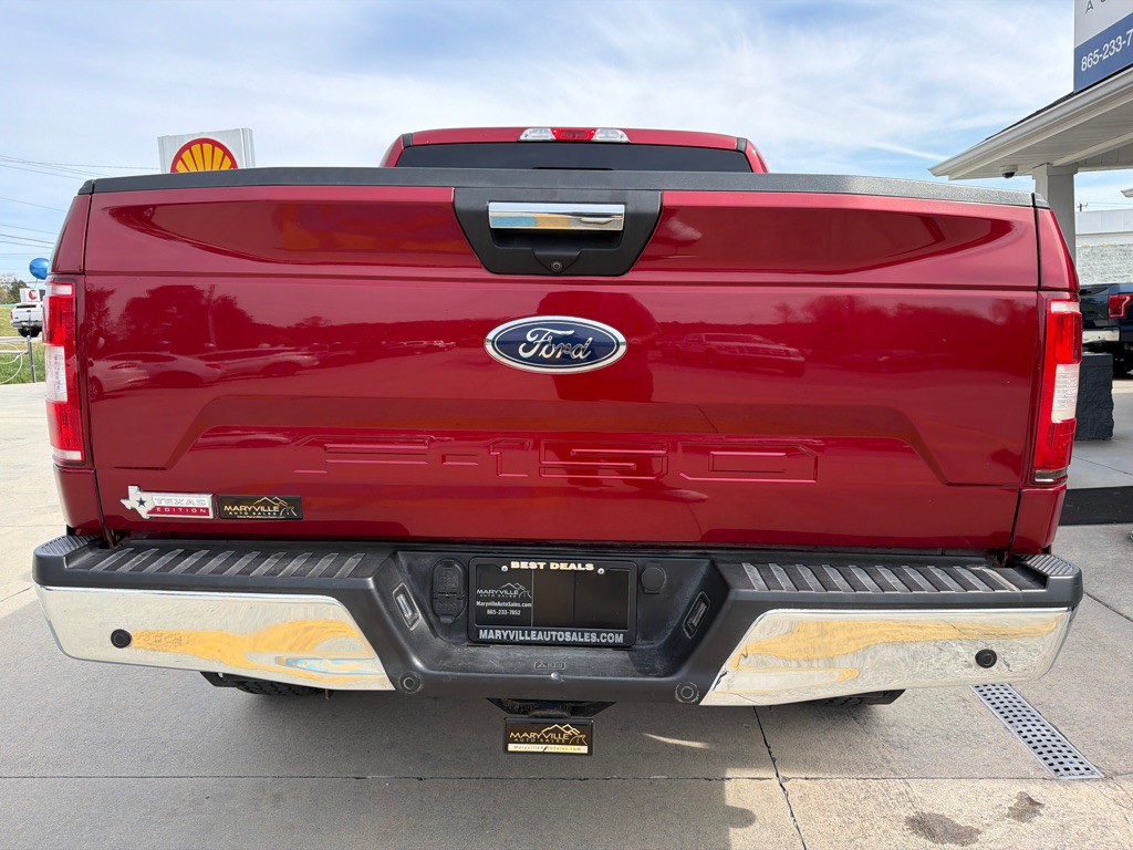 2019 Ford F-150 Image 4