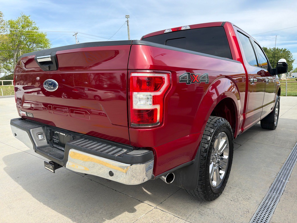 2019 Ford F-150 Image 5