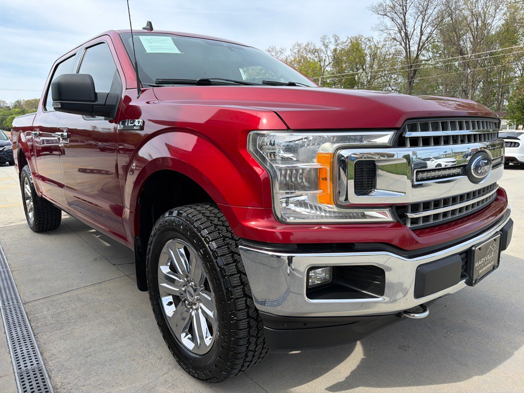 2019 Ford F-150 Image 7