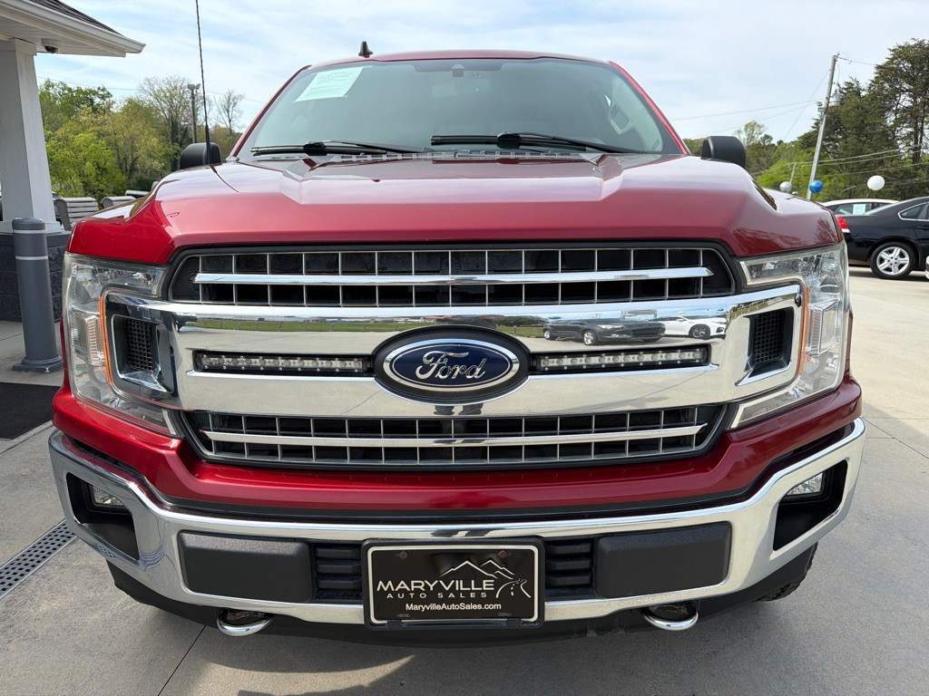 2019 Ford F-150 Image 8