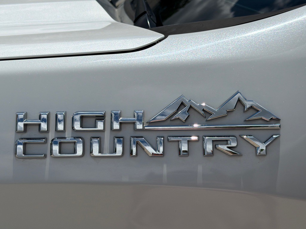 2019 Chevrolet Silverado 1500 Image 20