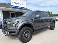 Image for 2017 Ford F-150 Raptor ID: 7589141