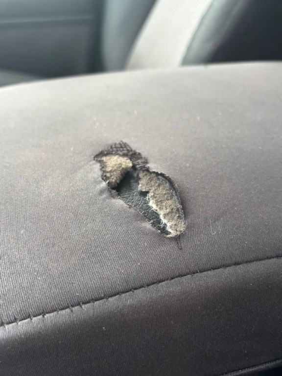 2014 Toyota 4Runner Image 11