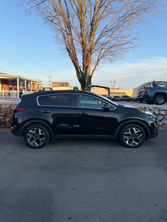 2022 Kia Sportage Image 3