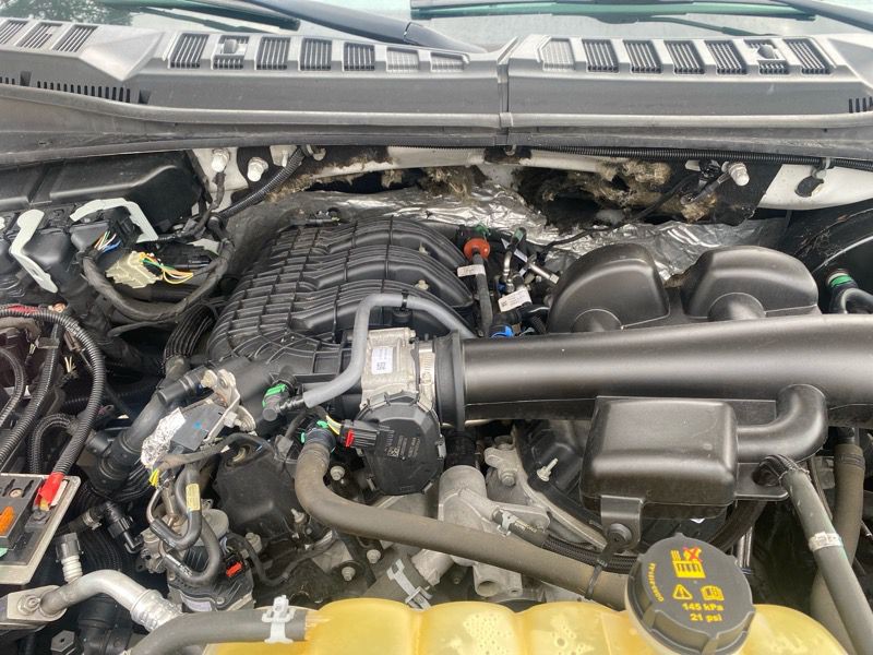 2019 Ford F-150 Image 55