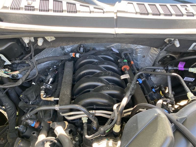 2020 Ford F-150 Image 13