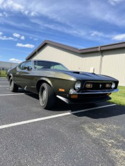 Image for 1971 Ford Mustang MACH 1 ID: 6645733