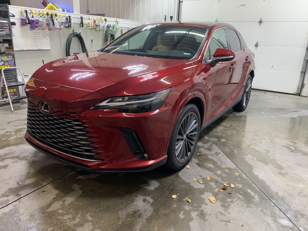 2025 Lexus RX Image 3