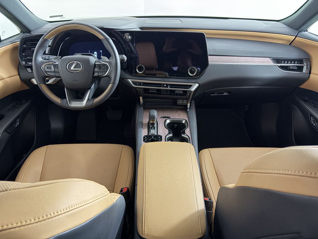 2025 Lexus RX Image 9