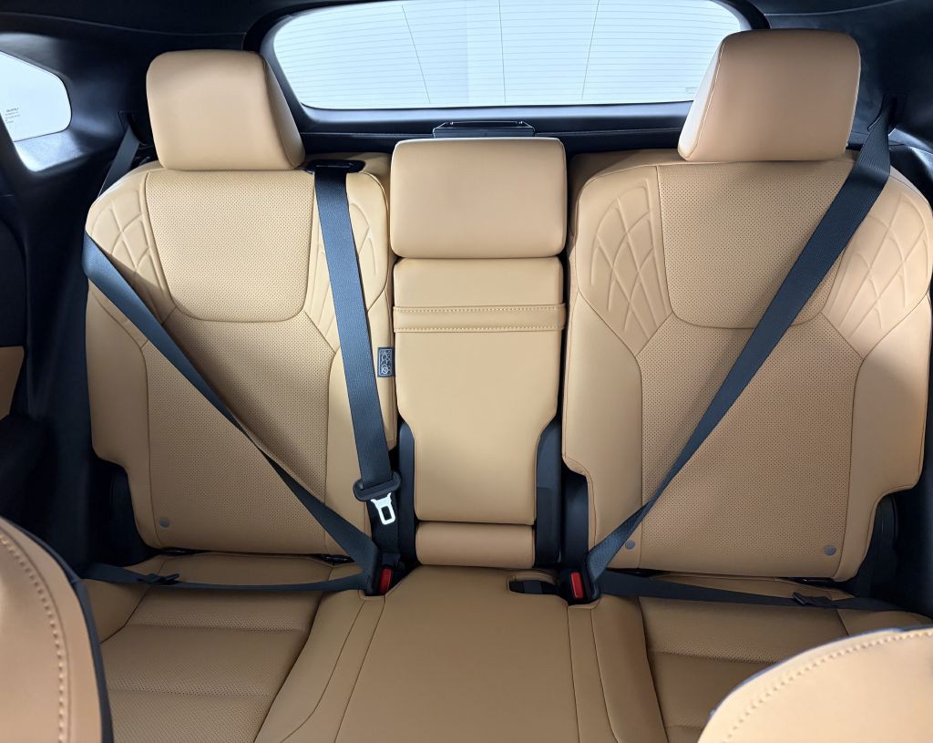 2025 Lexus RX Image 14