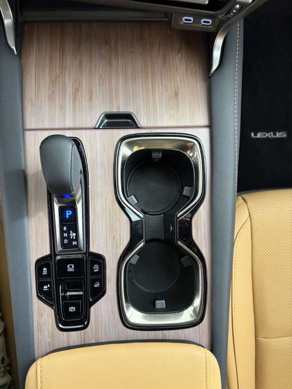 2025 Lexus RX Image 21
