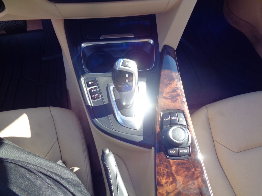2014 BMW 3 Series Image 19