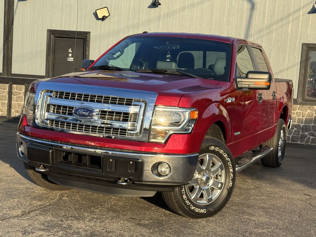 2014 Ford F-150 Image 3