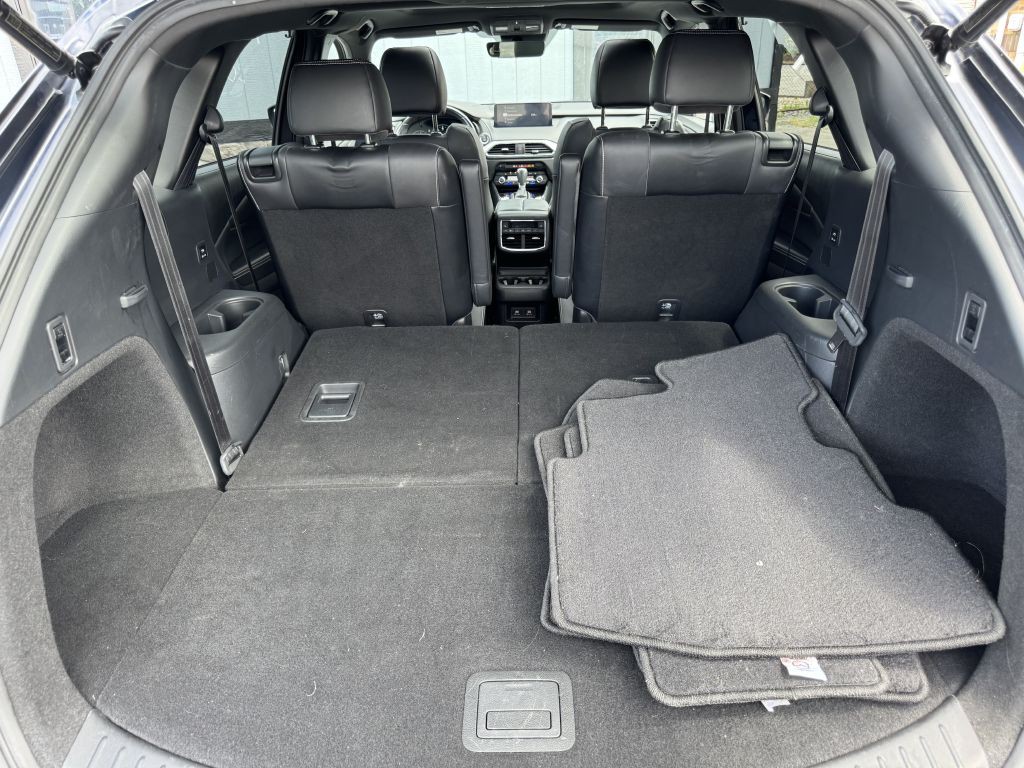 2021 Mazda CX-9 Image 22