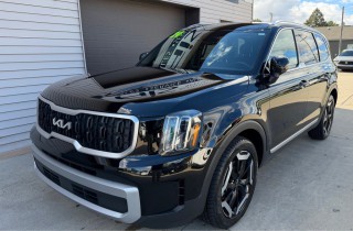 Image for 2024 Kia Telluride EX ID: 6943250