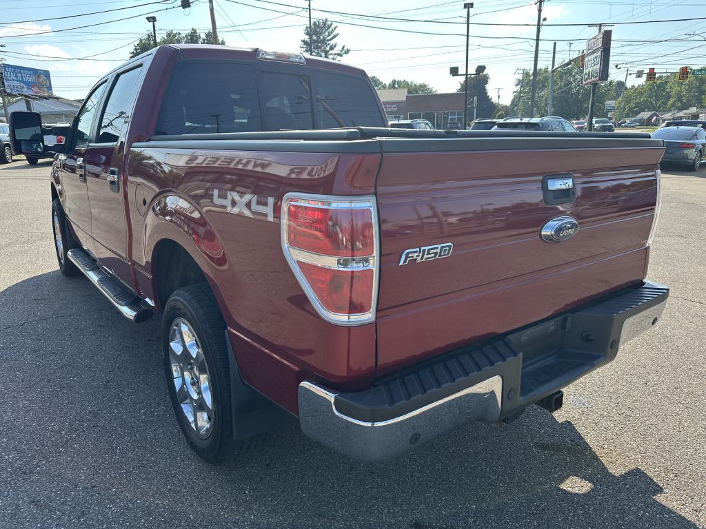 2014 Ford F-150 Image 4