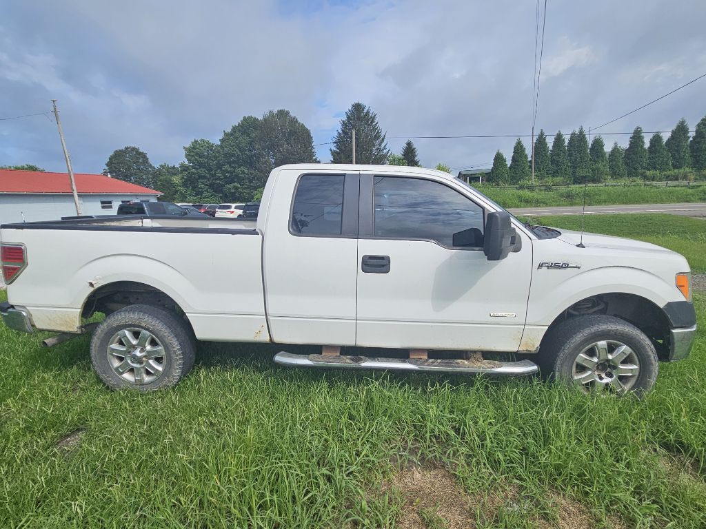 2013 Ford F-150 Image 2