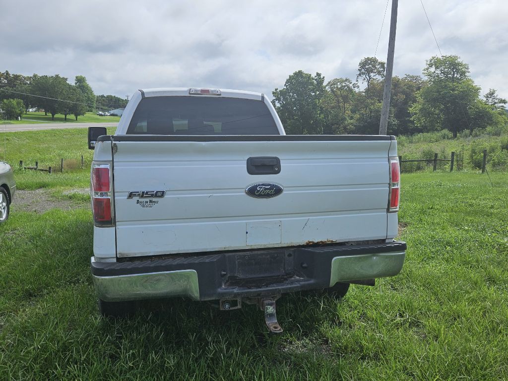 2013 Ford F-150 Image 5