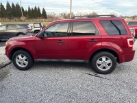 Image for 2010 Ford Escape XLT ID: 7102125