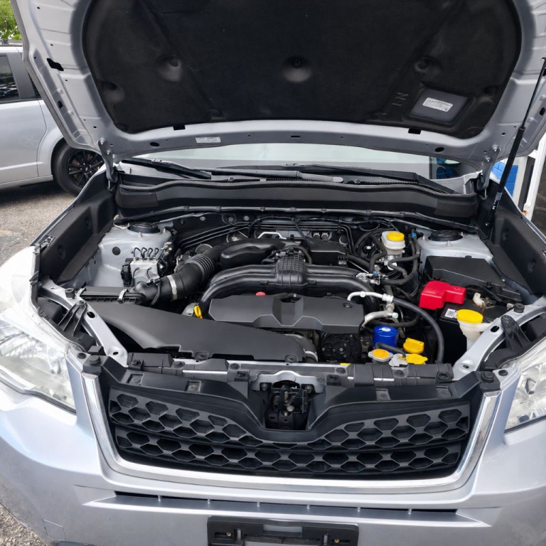2015 Subaru Forester Image 21