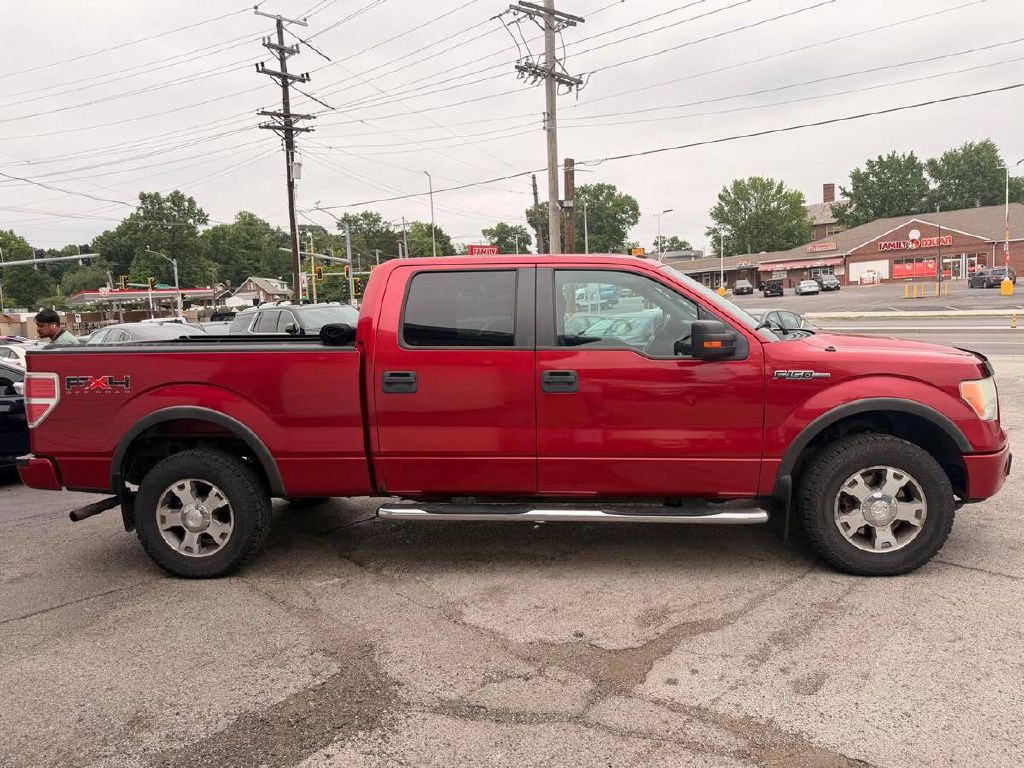 2010 Ford F-150 Image 4