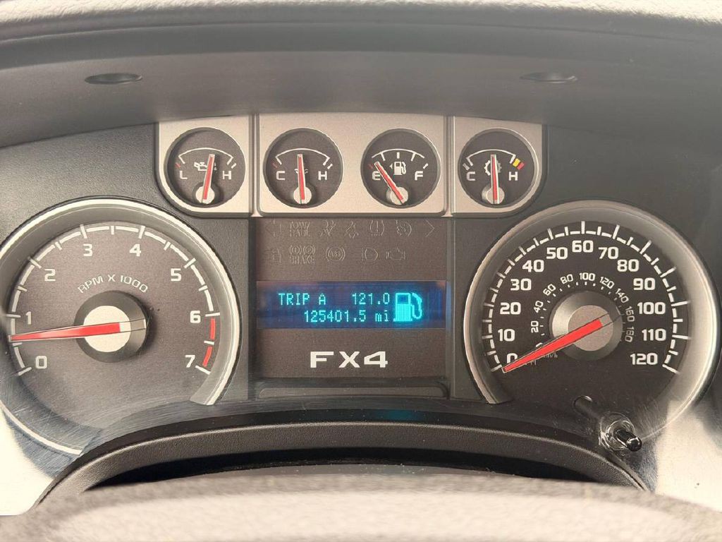 2010 Ford F-150 Image 20