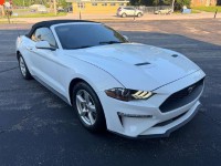 Image for 2019 Ford Mustang  ID: 7560125