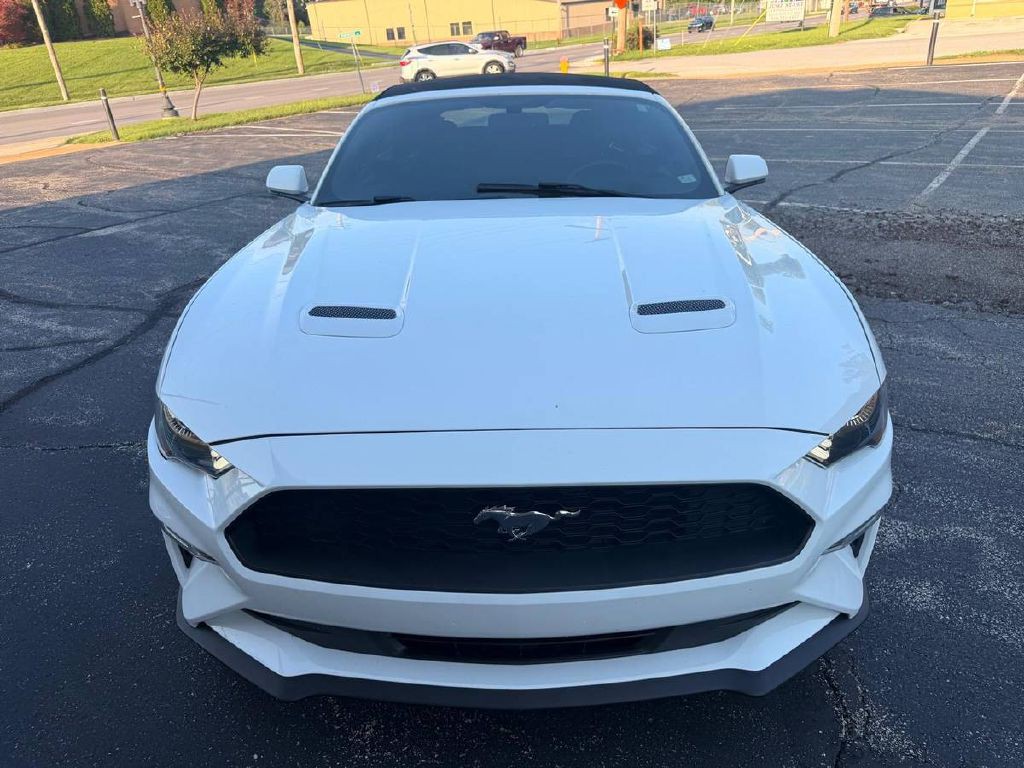 2019 Ford Mustang Image 2