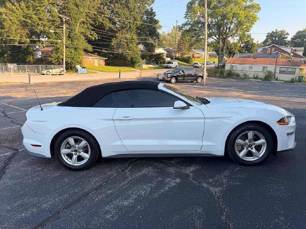 2019 Ford Mustang Image 4