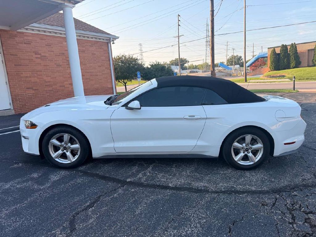 2019 Ford Mustang Image 5