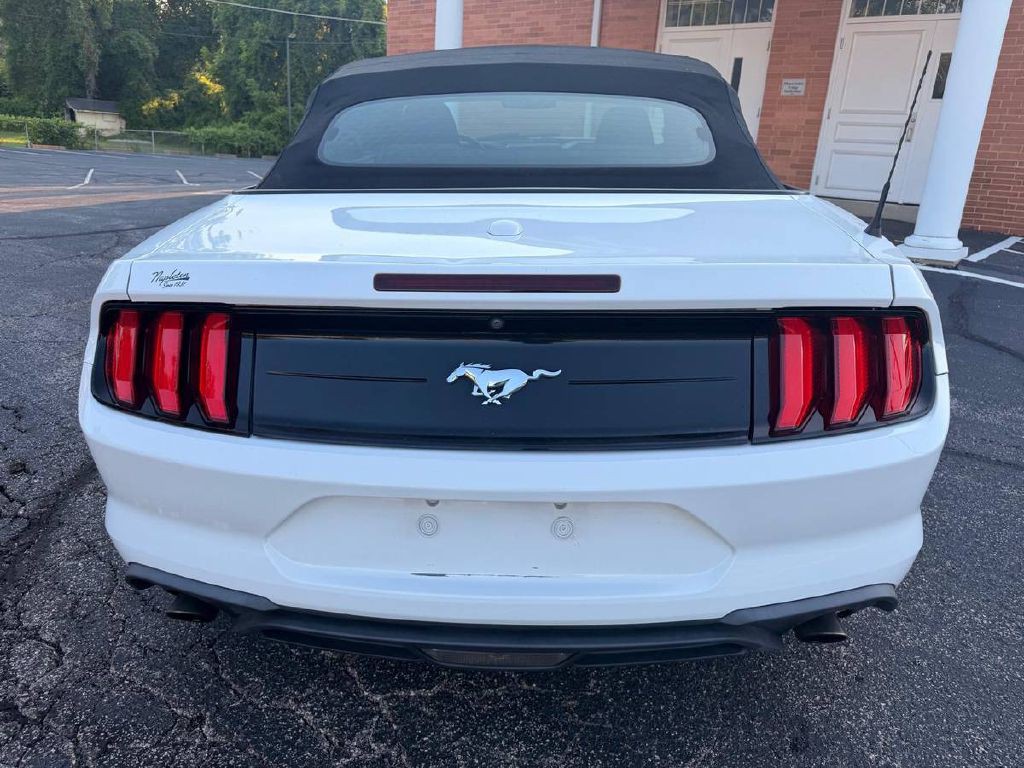 2019 Ford Mustang Image 7