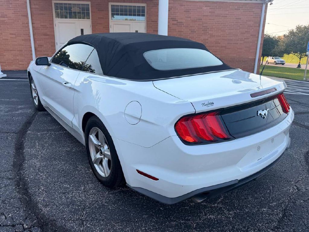 2019 Ford Mustang Image 8