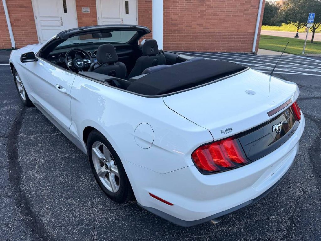 2019 Ford Mustang Image 11