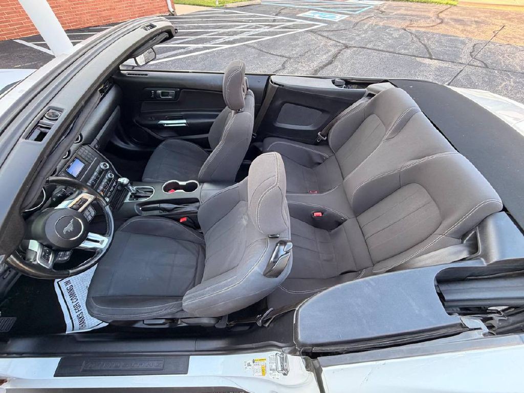 2019 Ford Mustang Image 12