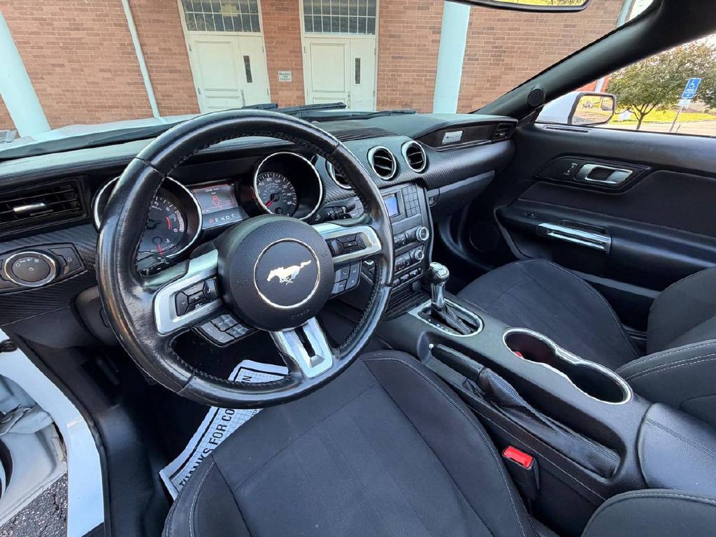 2019 Ford Mustang Image 13