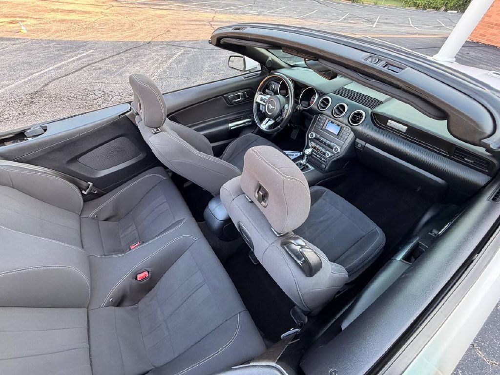 2019 Ford Mustang Image 15