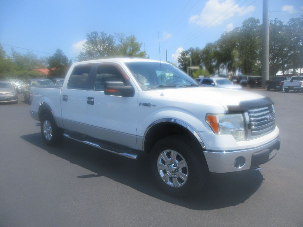 2010 Ford F-150 Image 3